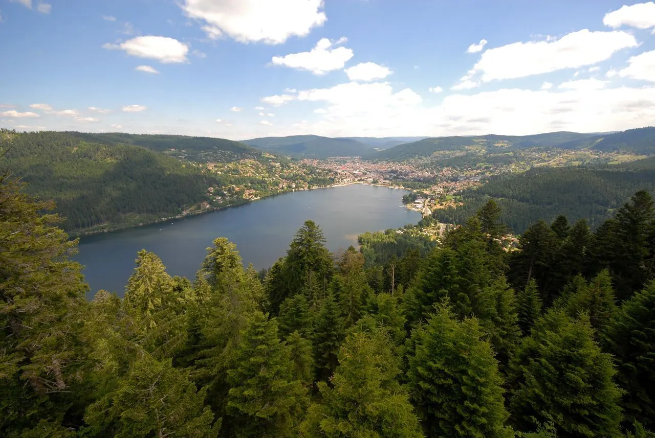Le lac de Gérardmer entouré de forêts