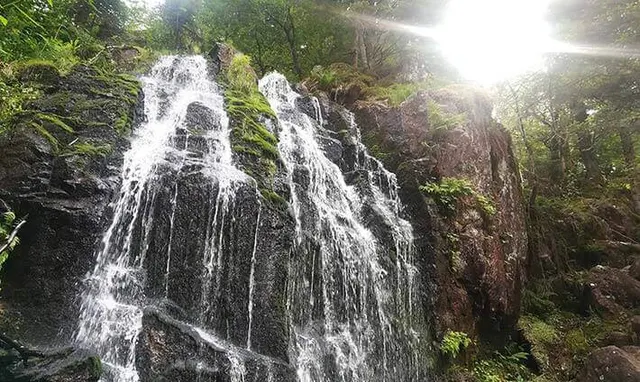 La cascade de Tendon dans la forêt